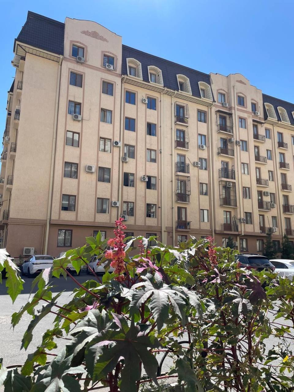 Bukhara'S Heart Apartment ภายนอก รูปภาพ